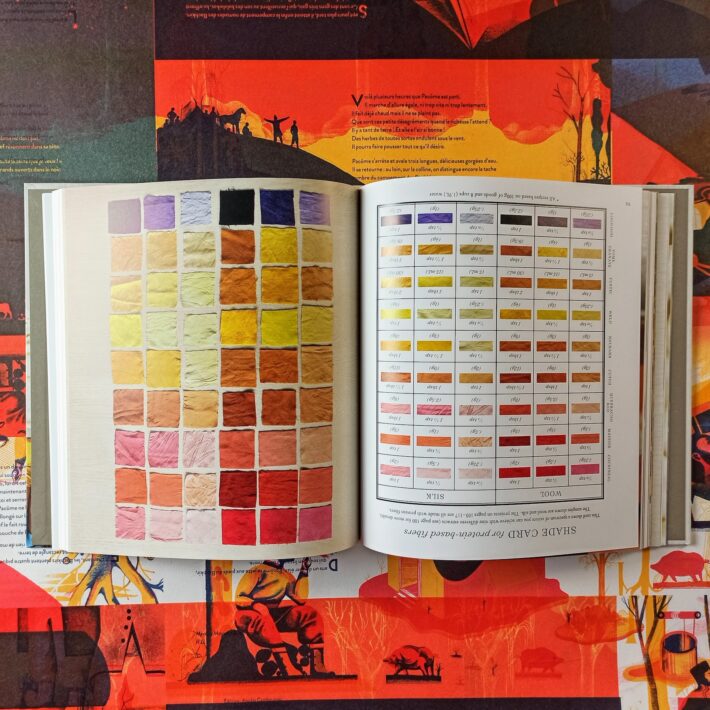 The_modern_natural_dyer5