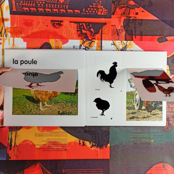 Les_animaux_de_la_ferme2