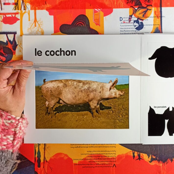 Les_animaux_de_la_ferme3