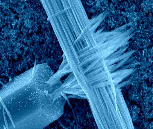 Cristalli a contatto con una goccia d’acqua