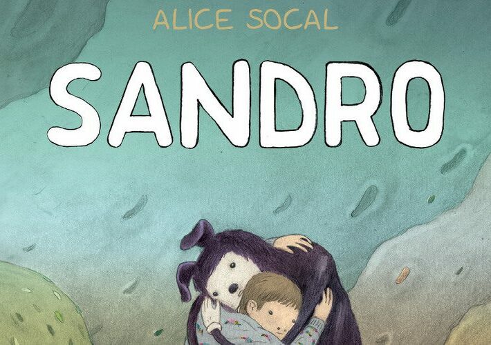 Sandro particolare