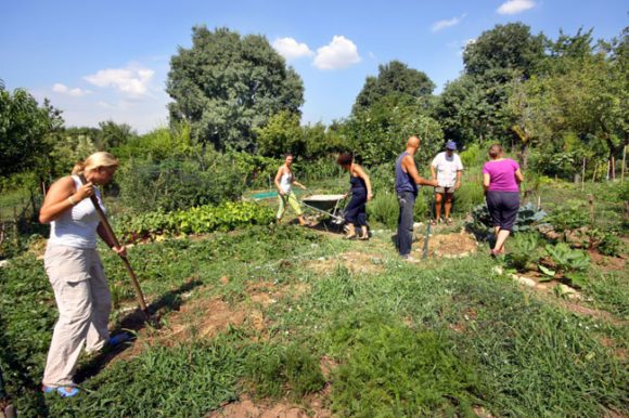 Il giardino degli aromi