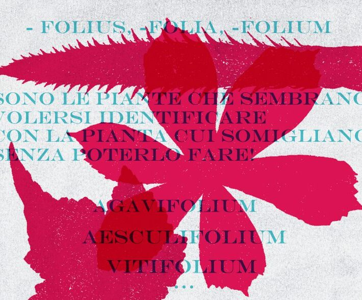 immagine taccuino-001