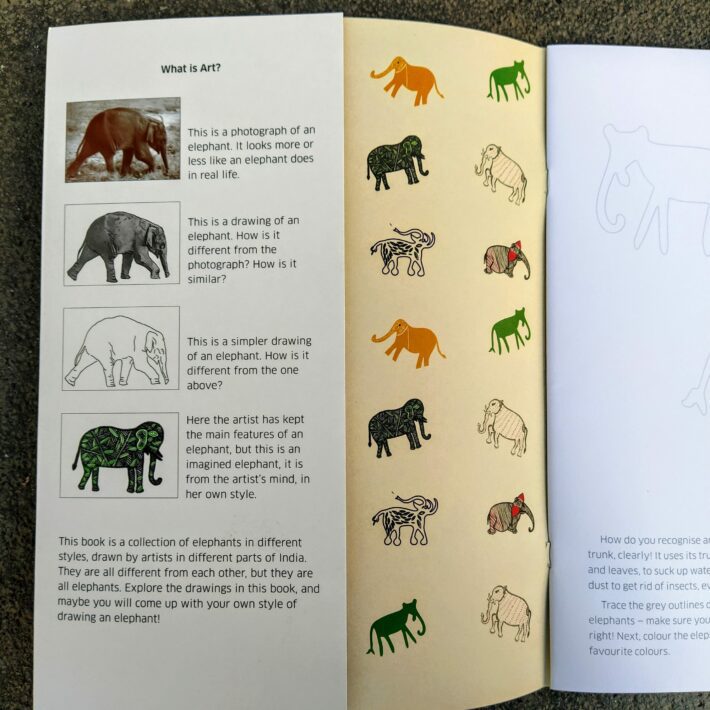 Paola Ferrarotti_8 ways to draw an elephant_1