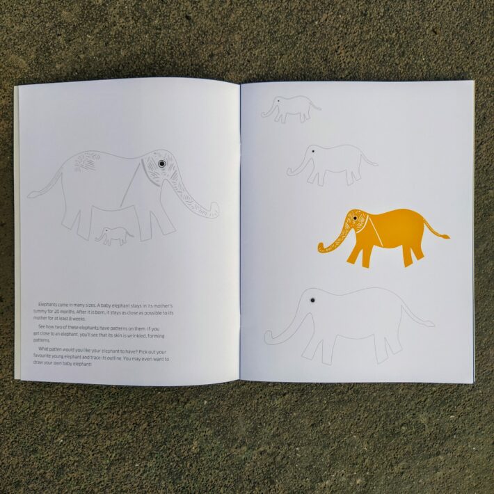 Paola Ferrarotti_8 ways to draw an elephant_2