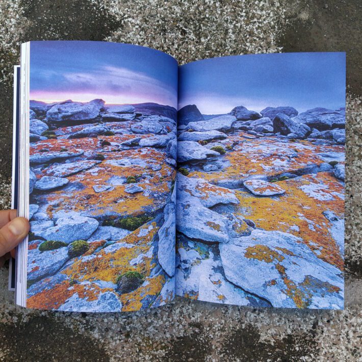 Telmo Pievani_La Terra dopo di noi_2