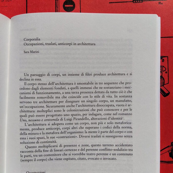 Malvina Borgherini_Materia corpo_2