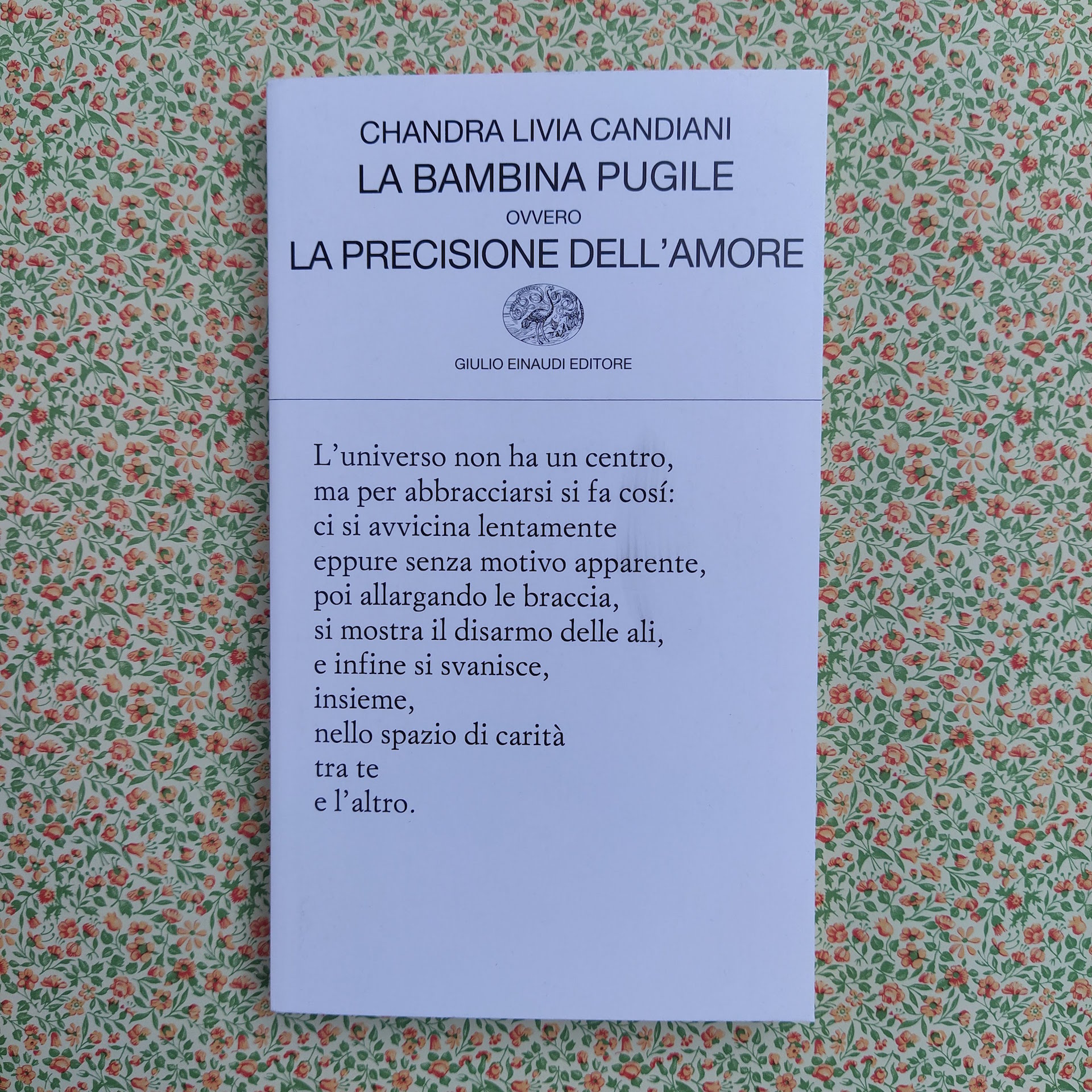 La bambina pugile ovvero la precisione dell'amore - SpazioB**K