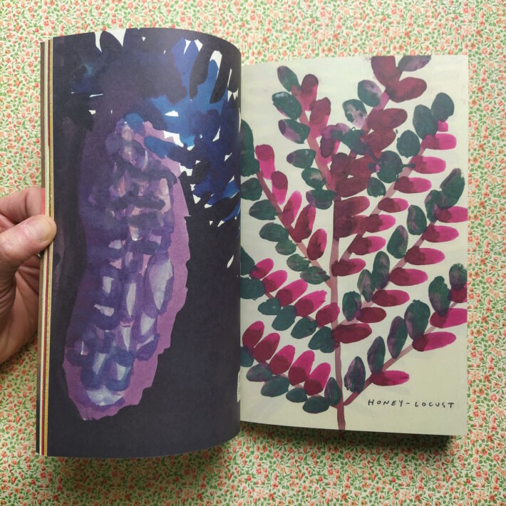 Leanne Shapton_The native trees of Canada_1