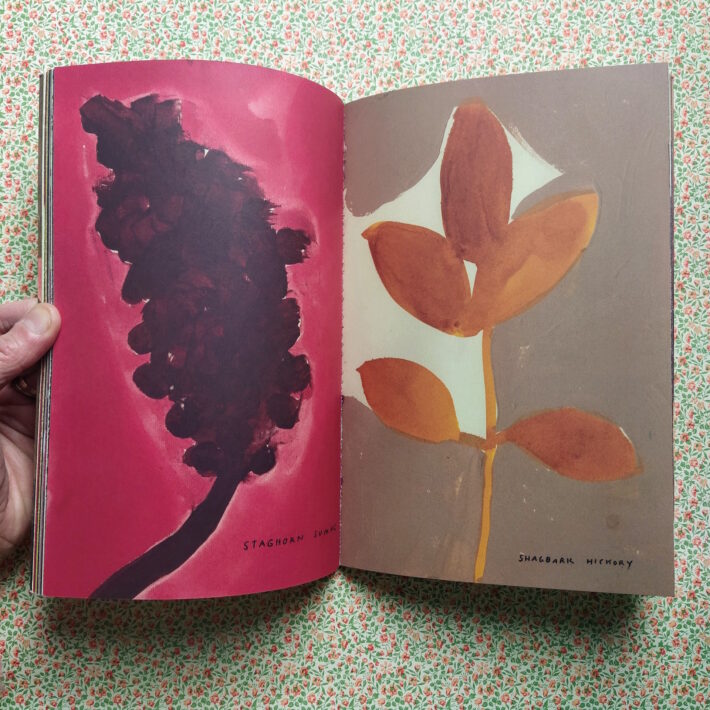 Leanne Shapton_The native trees of Canada_2