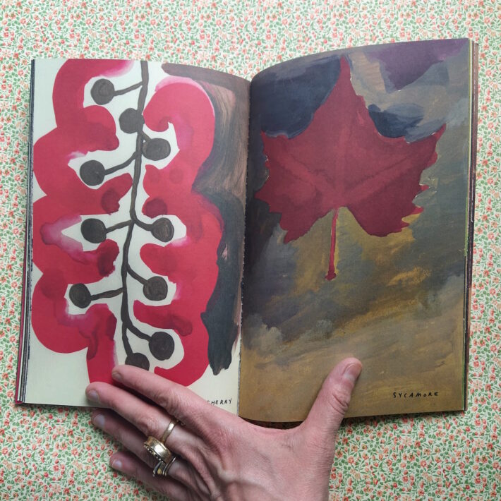 Leanne Shapton_The native trees of Canada_3