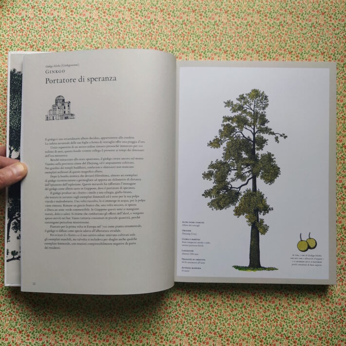 Kevin Hobbs e David West_La storia degli alberi e di come hanno cambiato il nostro modo di vivere_2