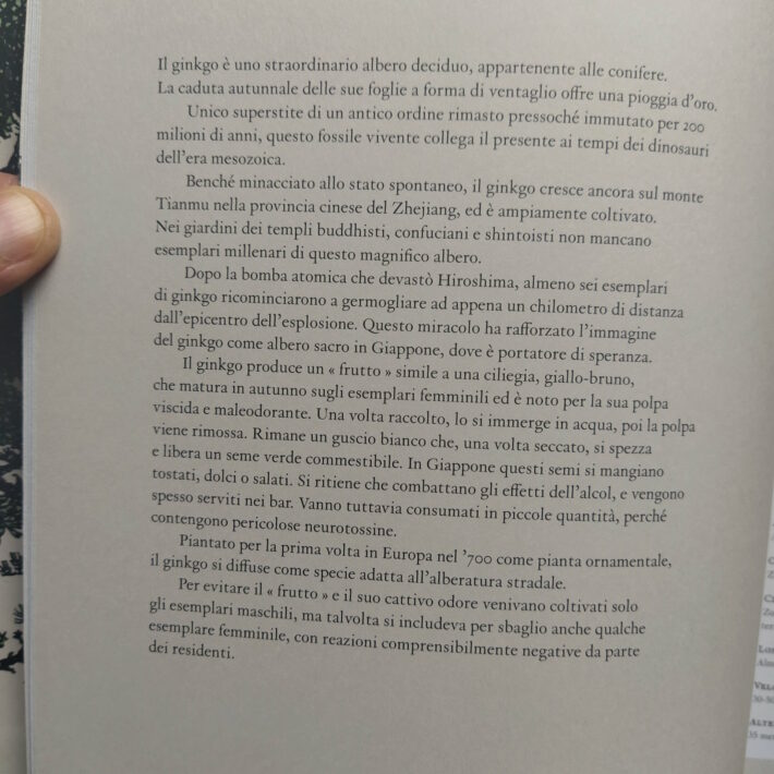 Kevin Hobbs e David West_La storia degli alberi e di come hanno cambiato il nostro modo di vivere_3
