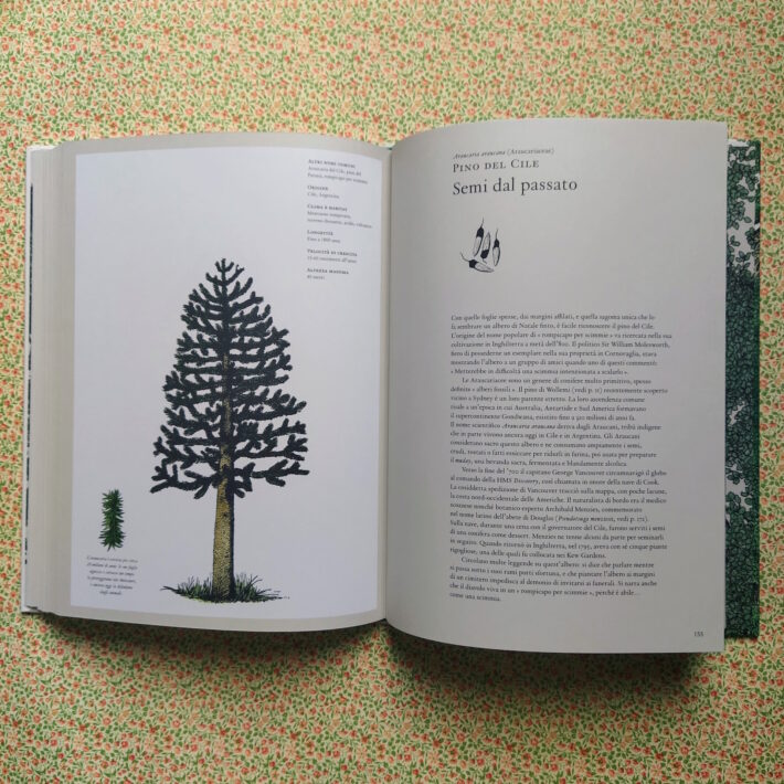 Kevin Hobbs e David West_La storia degli alberi e di come hanno cambiato il nostro modo di vivere_5