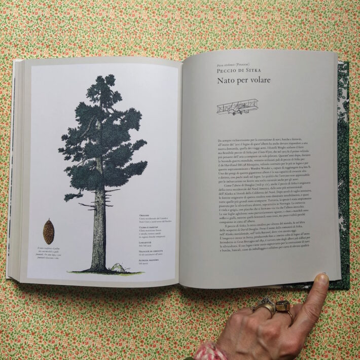 Kevin Hobbs e David West_La storia degli alberi e di come hanno cambiato il nostro modo di vivere_6