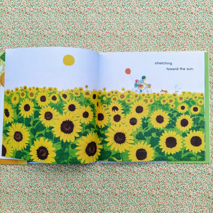 Joyce Sidman, Taeeun Yoo_Round_3