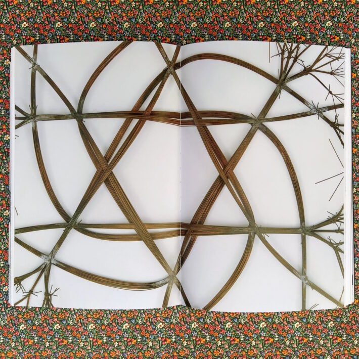 Tiffany Bell, Robert Storr_Ruth Asawa_4