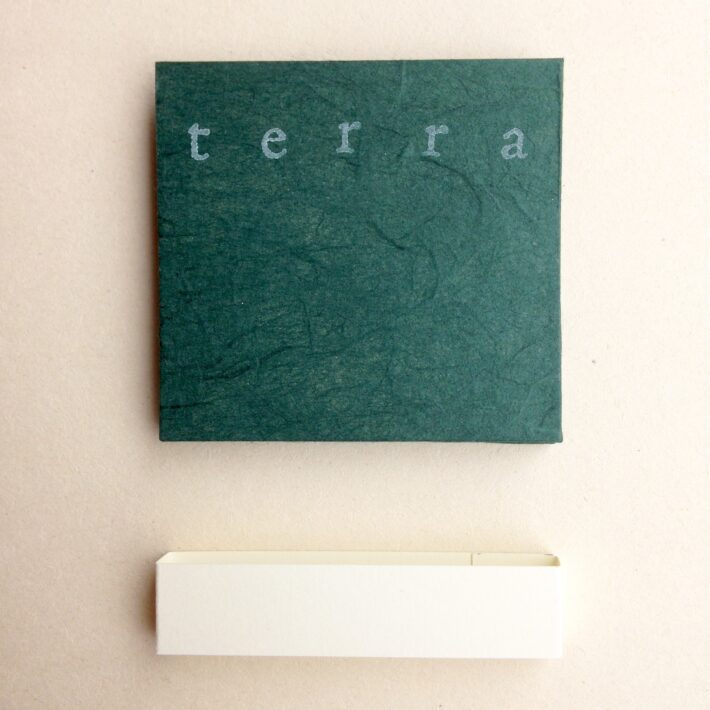 Schiene Pelose_Terra_1
