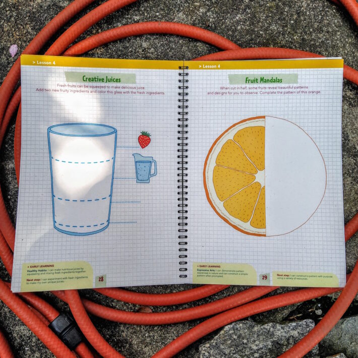 Hoopla education_The garden project – Journal of Investigation_4