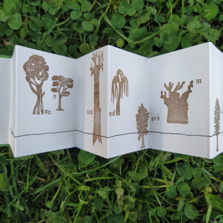 Schiene pelose_Visse sugli alberi_2