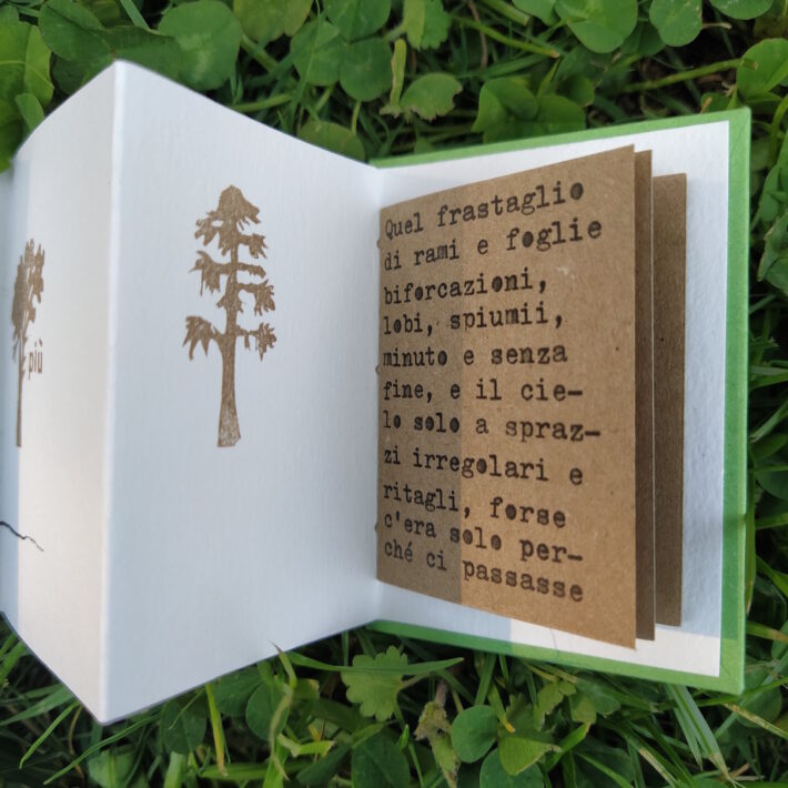Schiene pelose_Visse sugli alberi_3