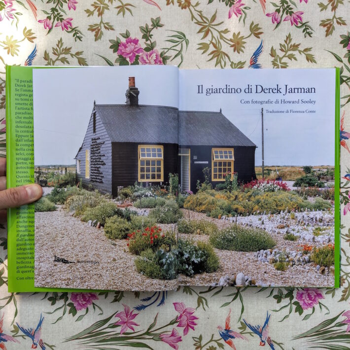 Derek Jarman_Il giardino di Derek Jarman_1