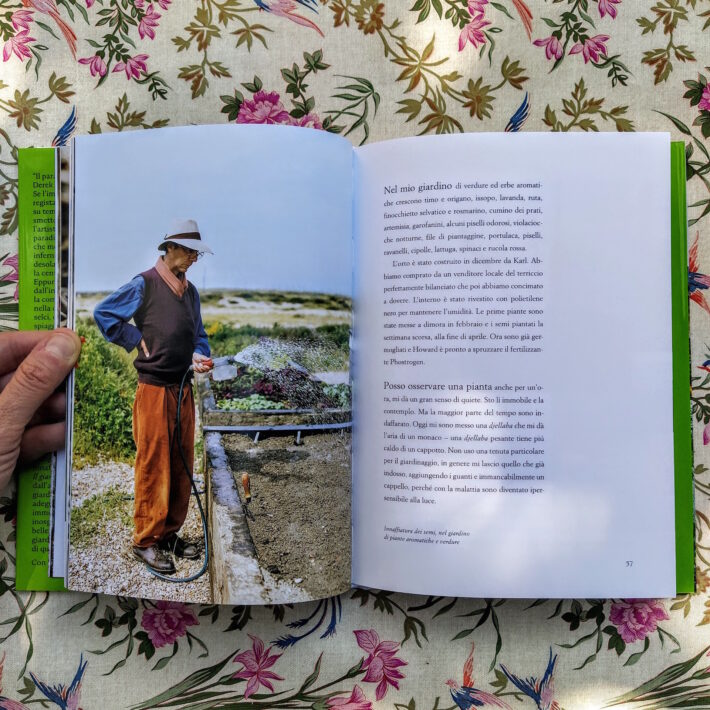 Derek Jarman_Il giardino di Derek Jarman_3