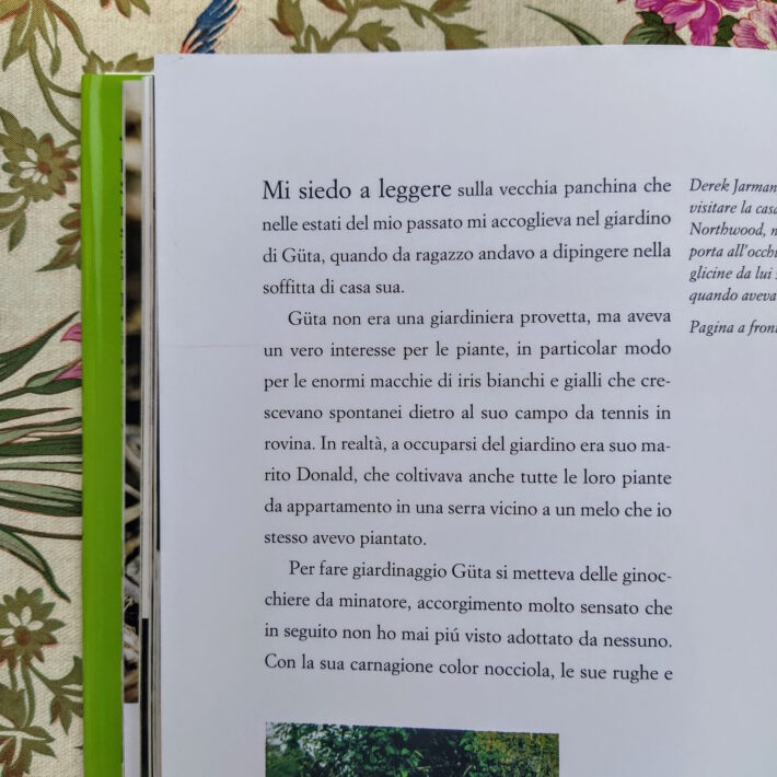 Derek Jarman_Il giardino di Derek Jarman_4