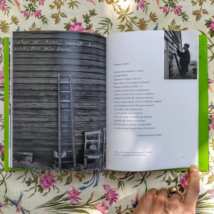 Derek Jarman_Il giardino di Derek Jarman_5
