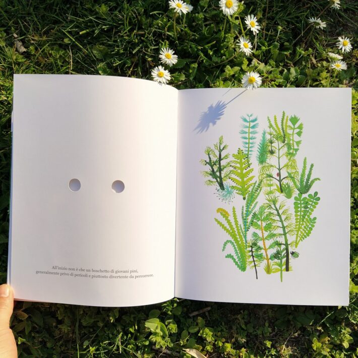 Valerio Vidali, Riccardo Bozzi, Violeta Lópiz_La foresta_1