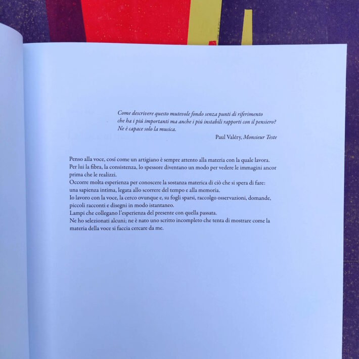 Chiara Guidi_La voce in una foresta di immagini invisibili_1