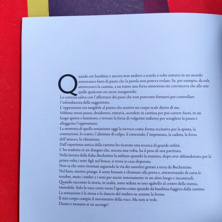 Chiara Guidi_La voce in una foresta di immagini invisibili_3