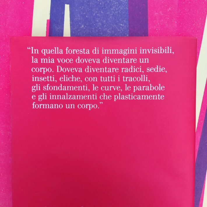 Chiara Guidi_La voce in una foresta di immagini invisibili_4