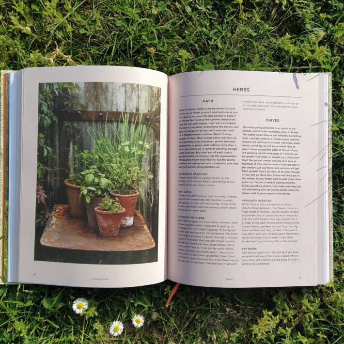 Aaron Bertelsen_Grow Fruit & Vegetables in Pots_3