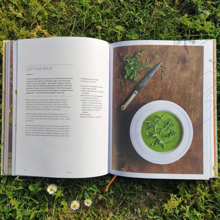 Aaron Bertelsen_Grow Fruit & Vegetables in Pots_4