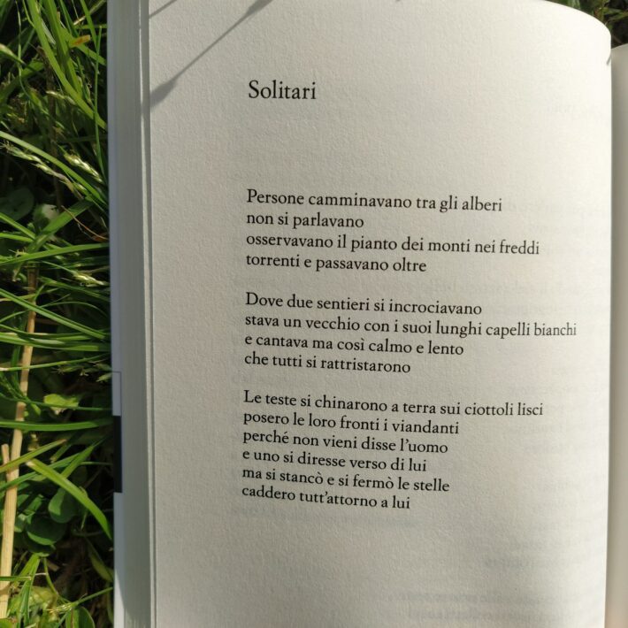 Agota Kristof_Chiodi_2