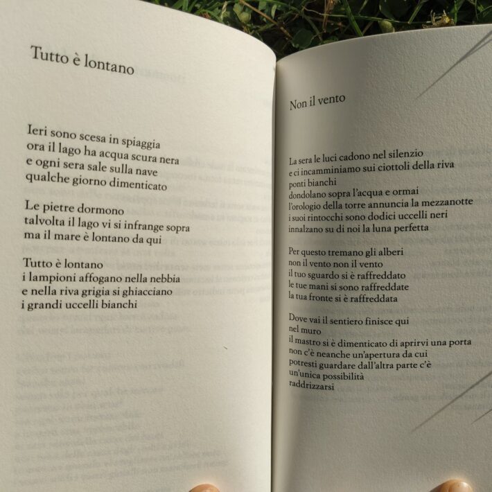 Agota Kristof_Chiodi_3