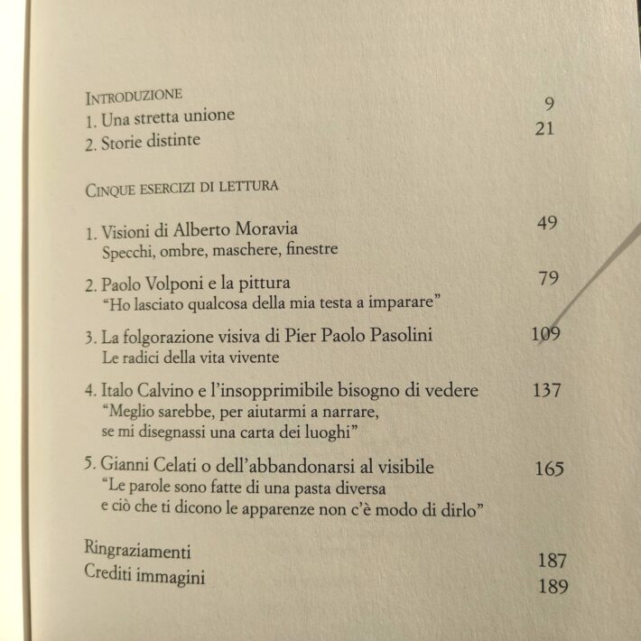 Alessandra Sarchi_La felicità delle immagini, il peso delle parole_1