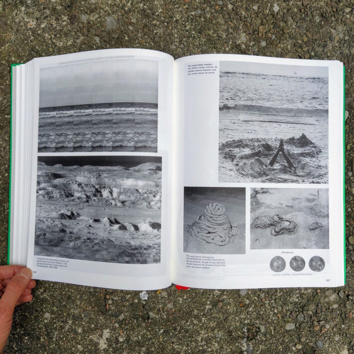 Batia Suter_Parallel Encyclopedia 2_3