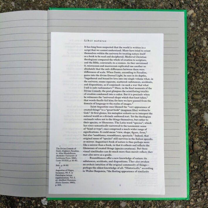 Batia Suter_Parallel Encyclopedia 2_6