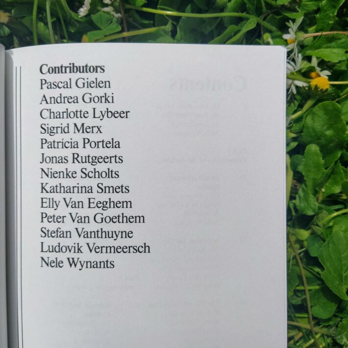 Nele Wynants_When Fact Is Fiction_1