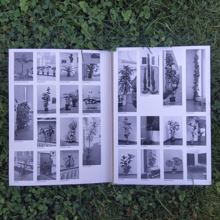 Inge Meijer_The plant collection_1