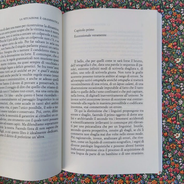 Andrea De Benedetti_La situazione è grammatica_1