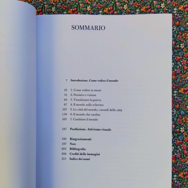 Nicholas Mirzoeff_Come vedere il mondo_1