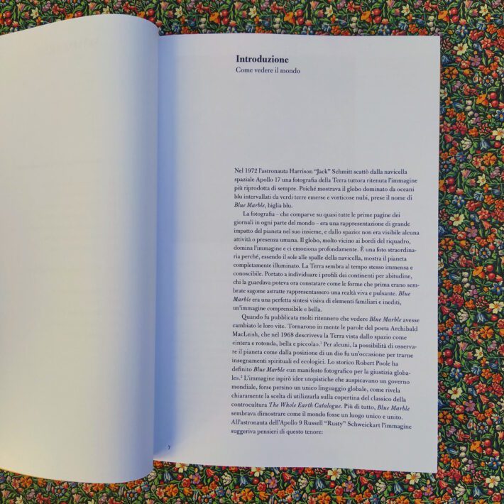 Nicholas Mirzoeff_Come vedere il mondo_2
