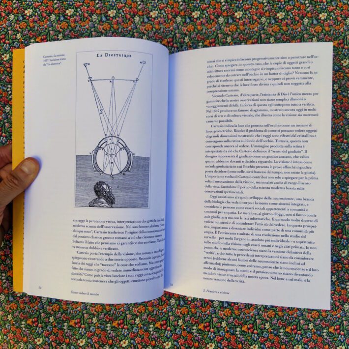 Nicholas Mirzoeff_Come vedere il mondo_3