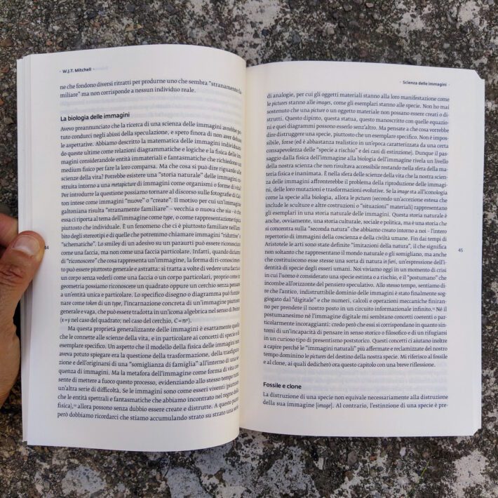 W.J.T. Mitchell_Scienza delle immagini_2