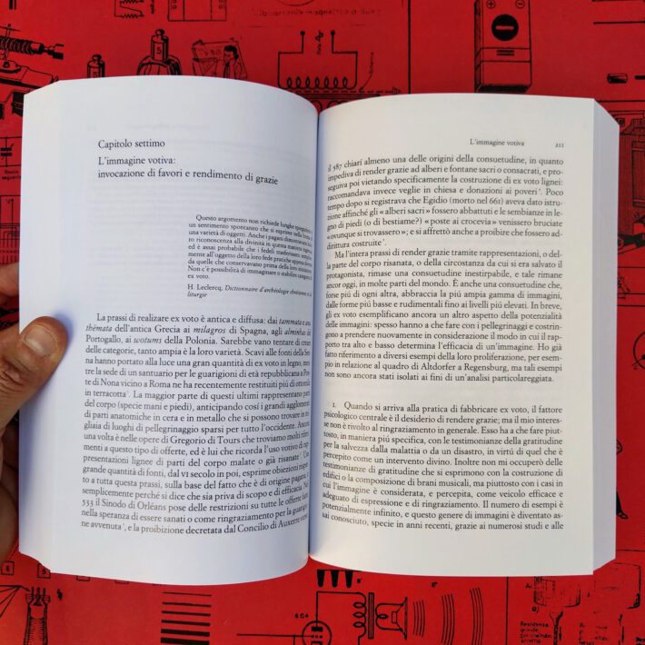 David Freedberg_Il potere delle immagini_2