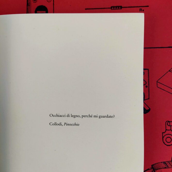 Carlo Ginzburg_Occhiacci di legno_1