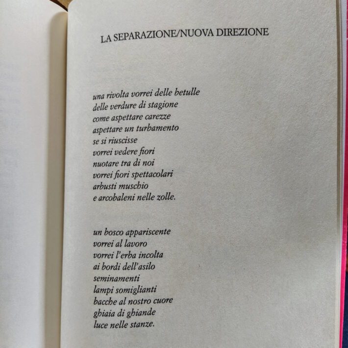 Silvia Salvagnini_Il seme dell’abbraccio_2